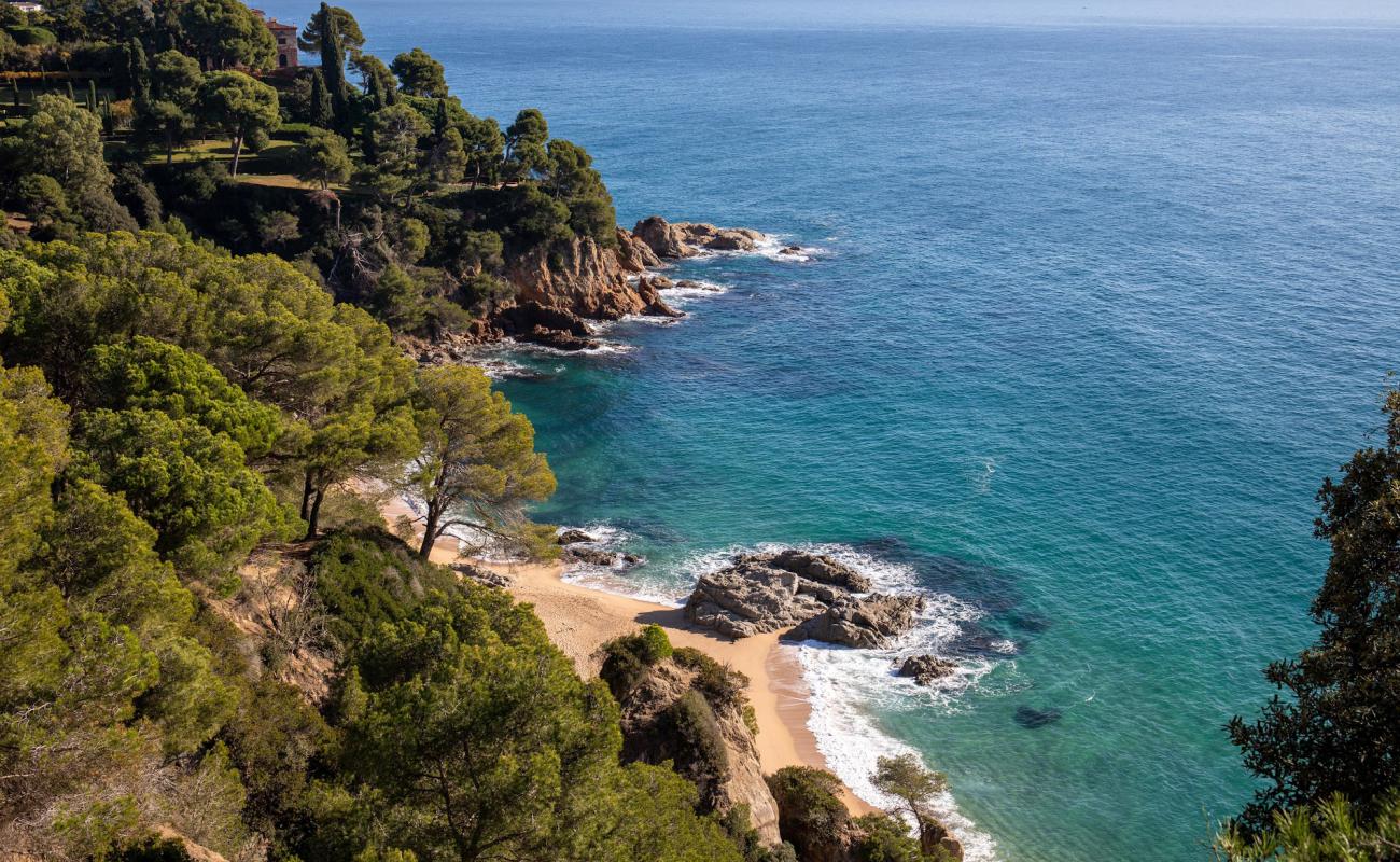 Photo de Plage de Cala Boadella avec sable beige fin de surface