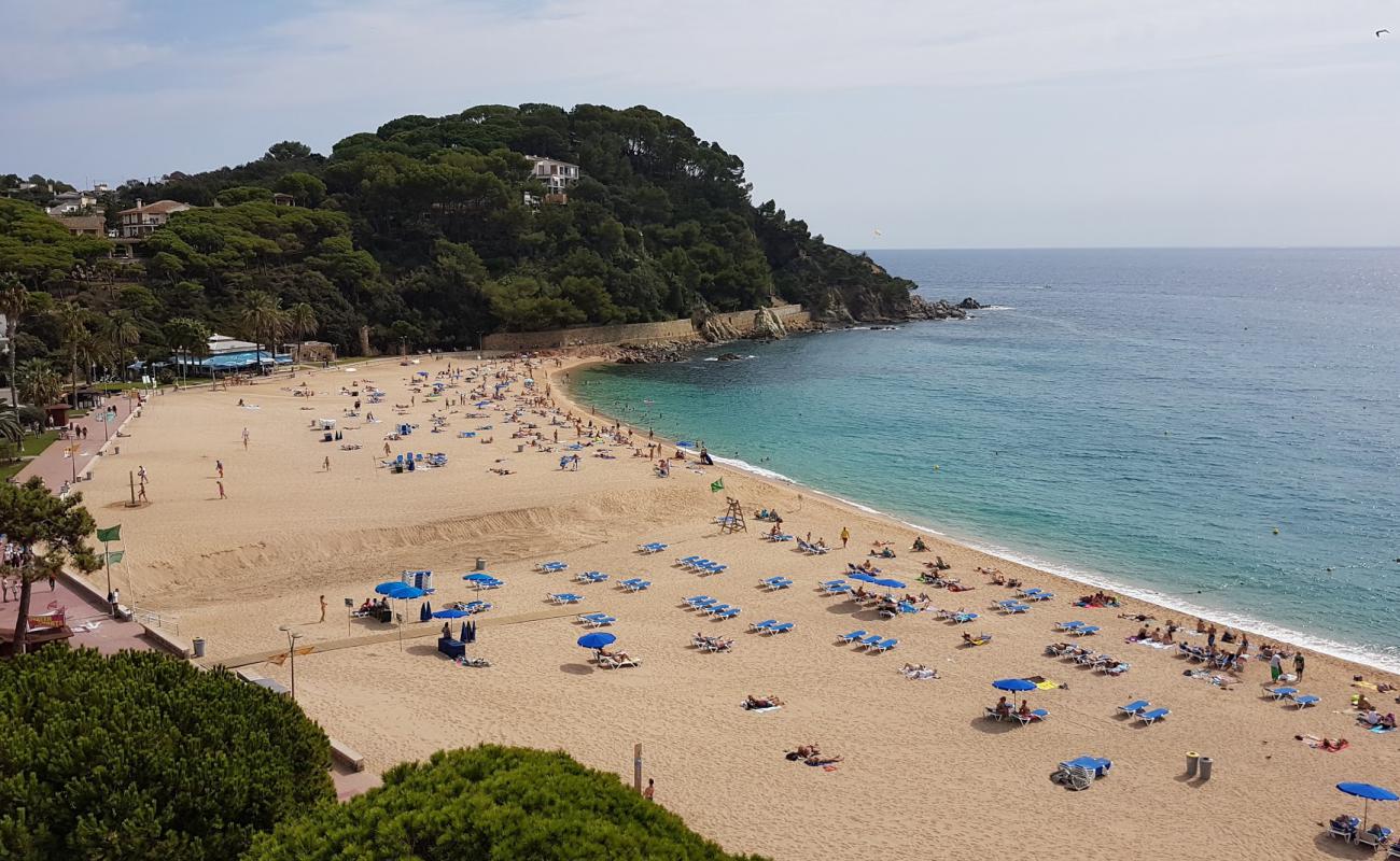 Photo de Platja de Fenals avec sable beige fin de surface