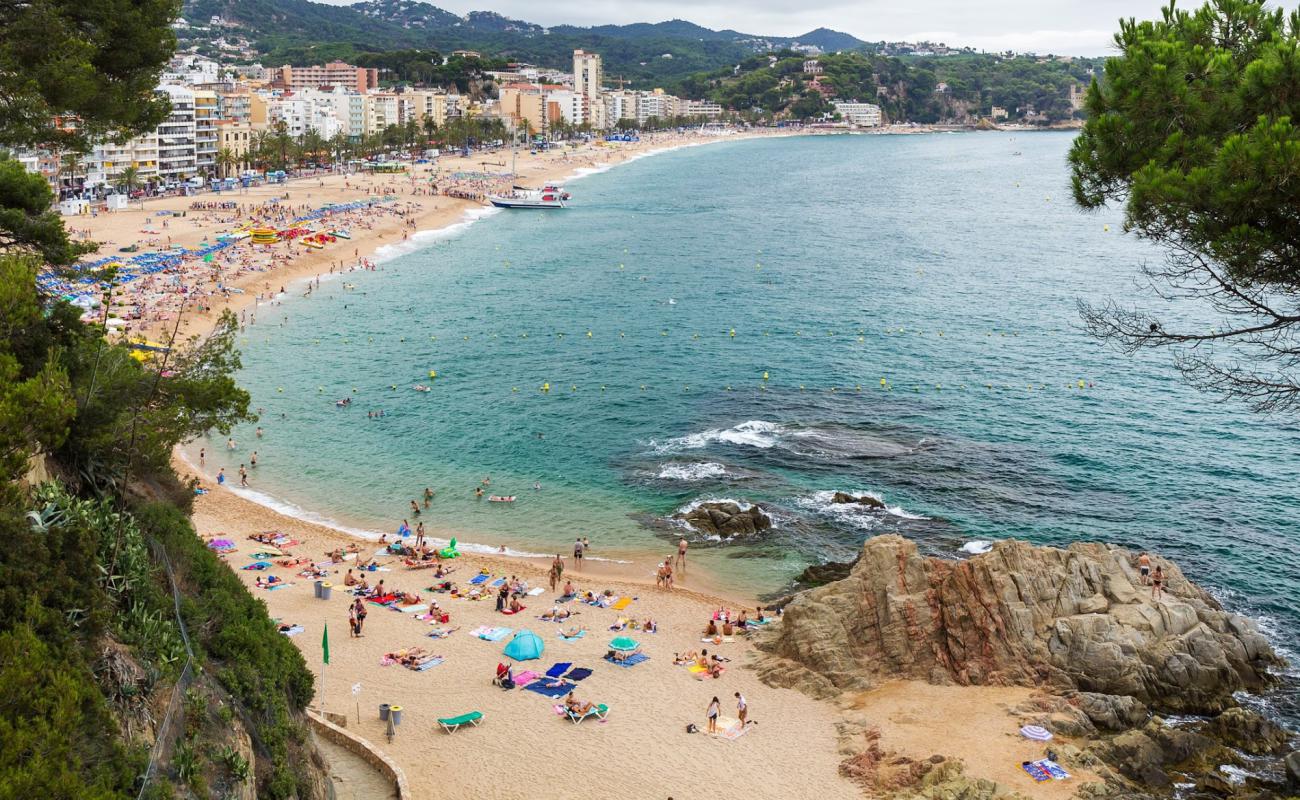 Photo de Platja de Lloret de Mar avec sable beige fin de surface