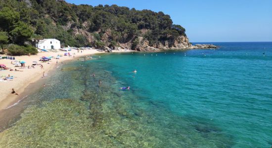 Plage de Canyelles