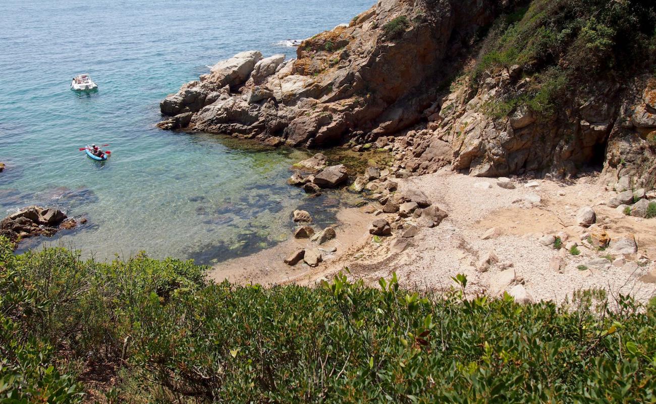 Photo de Cala Morisca avec sable beige & pierres de surface