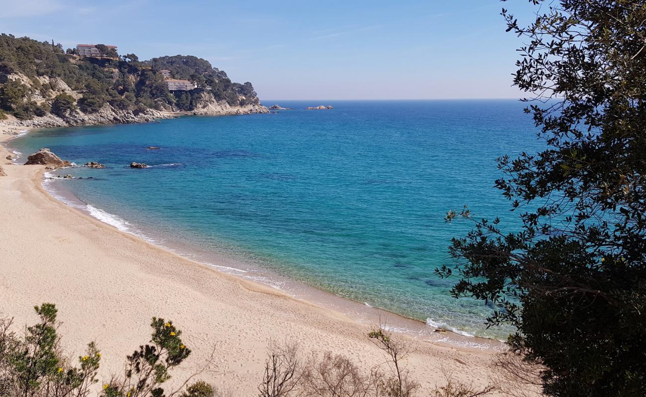 Photo de Plage de Santa Maria de Llorell avec sable coquillé beige de surface