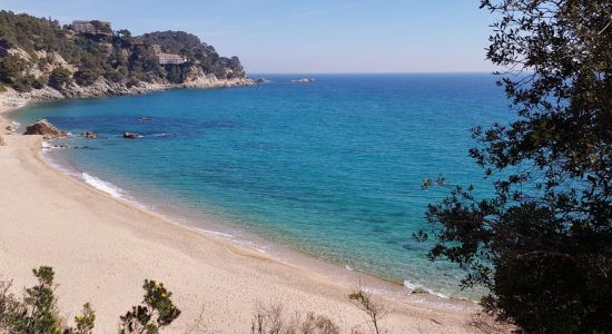 Plage de Santa Maria de Llorell