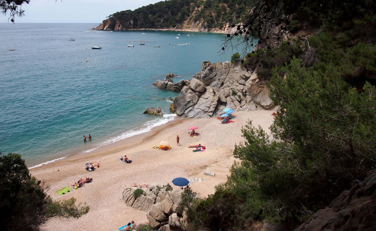 Photo de Cala Figuera avec sable coquillé beige de surface