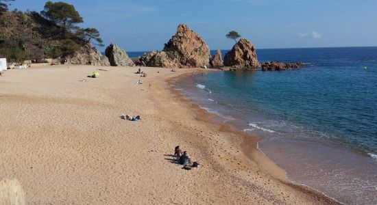 Plage de Mar Menuda