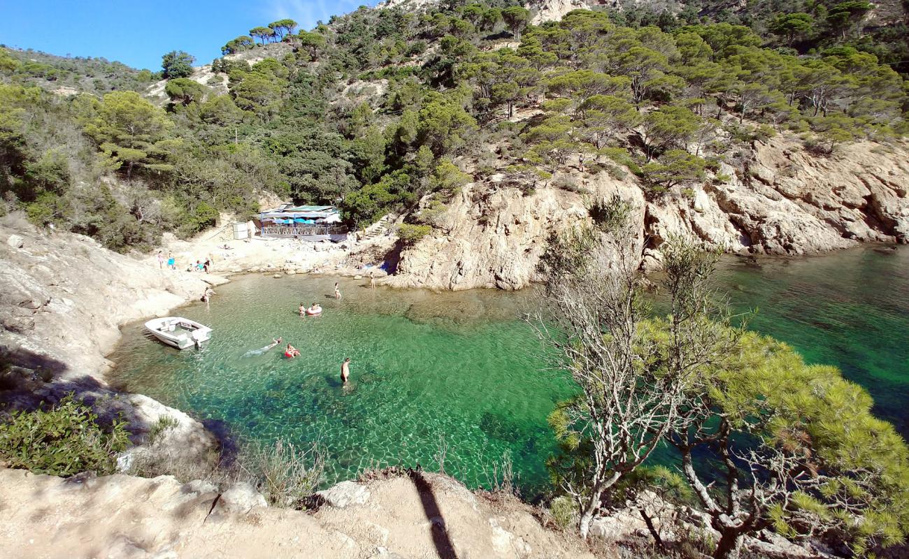 Photo de Cala Bona avec roches de surface