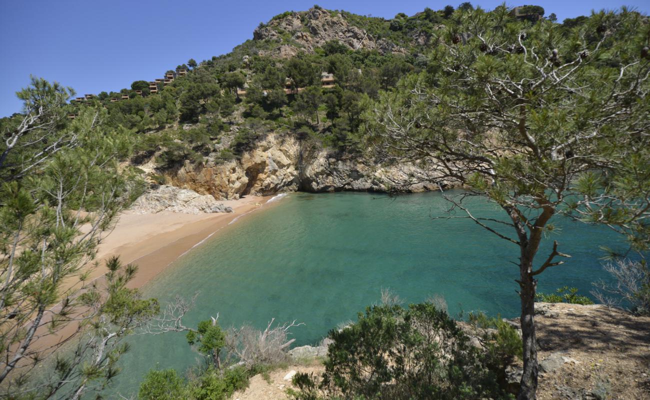 Photo de Plage de Cala Pola avec sable coquillé beige de surface
