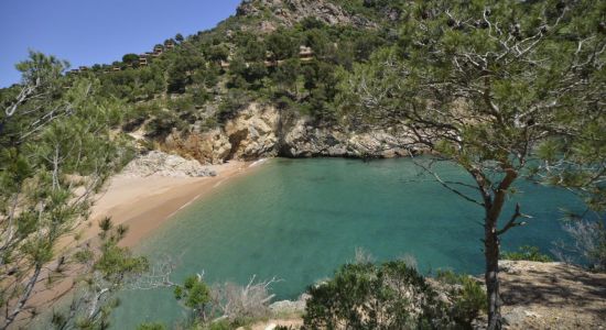 Plage de Cala Pola