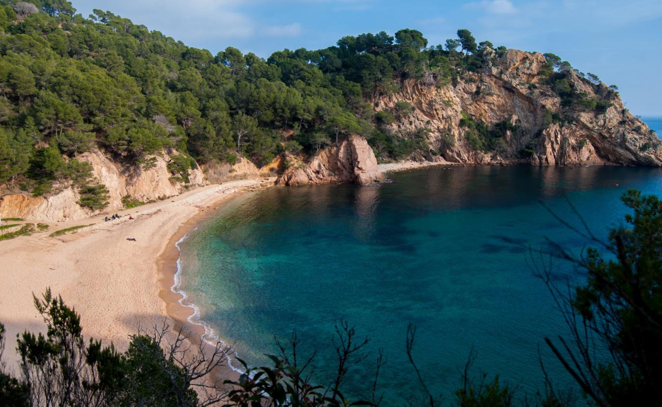 Photo de Plage de Cala Giverola avec sable lumineux de surface