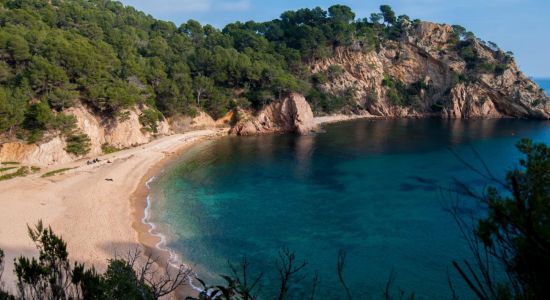 Plage de Cala Giverola