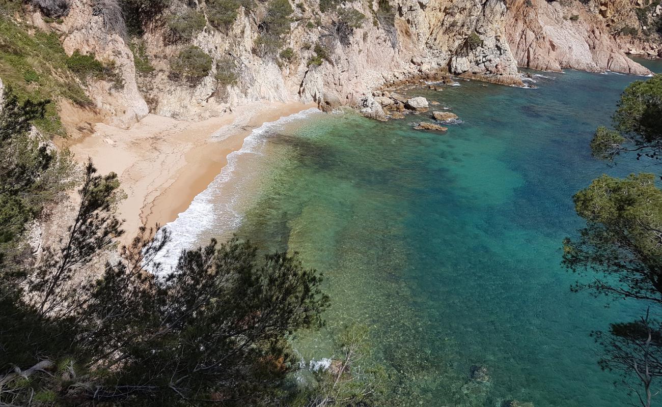 Photo de Cala Futadera avec sable coquillé beige de surface