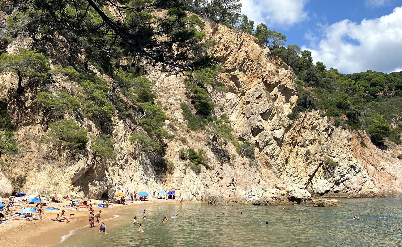 Photo de Cala Spiratiu avec sable beige & pierres de surface