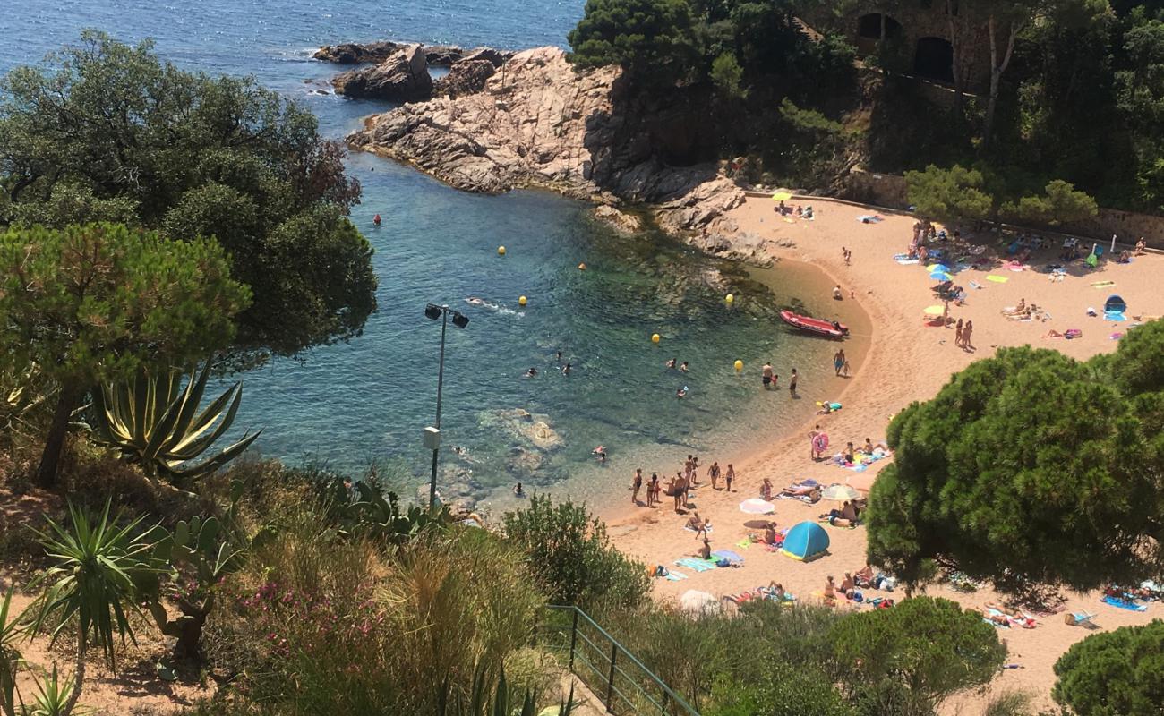 Photo de Cala Salionc avec sable de coquillages marron de surface