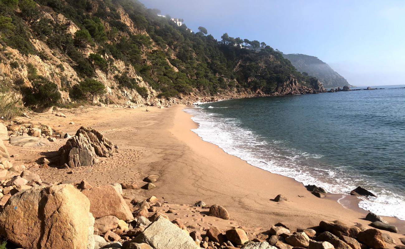 Photo de Plage de Cala Del Sr. Ramon avec sable coquillier lumineux de surface