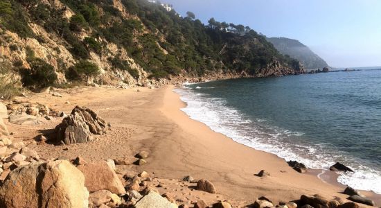 Plage de Cala Del Sr. Ramon