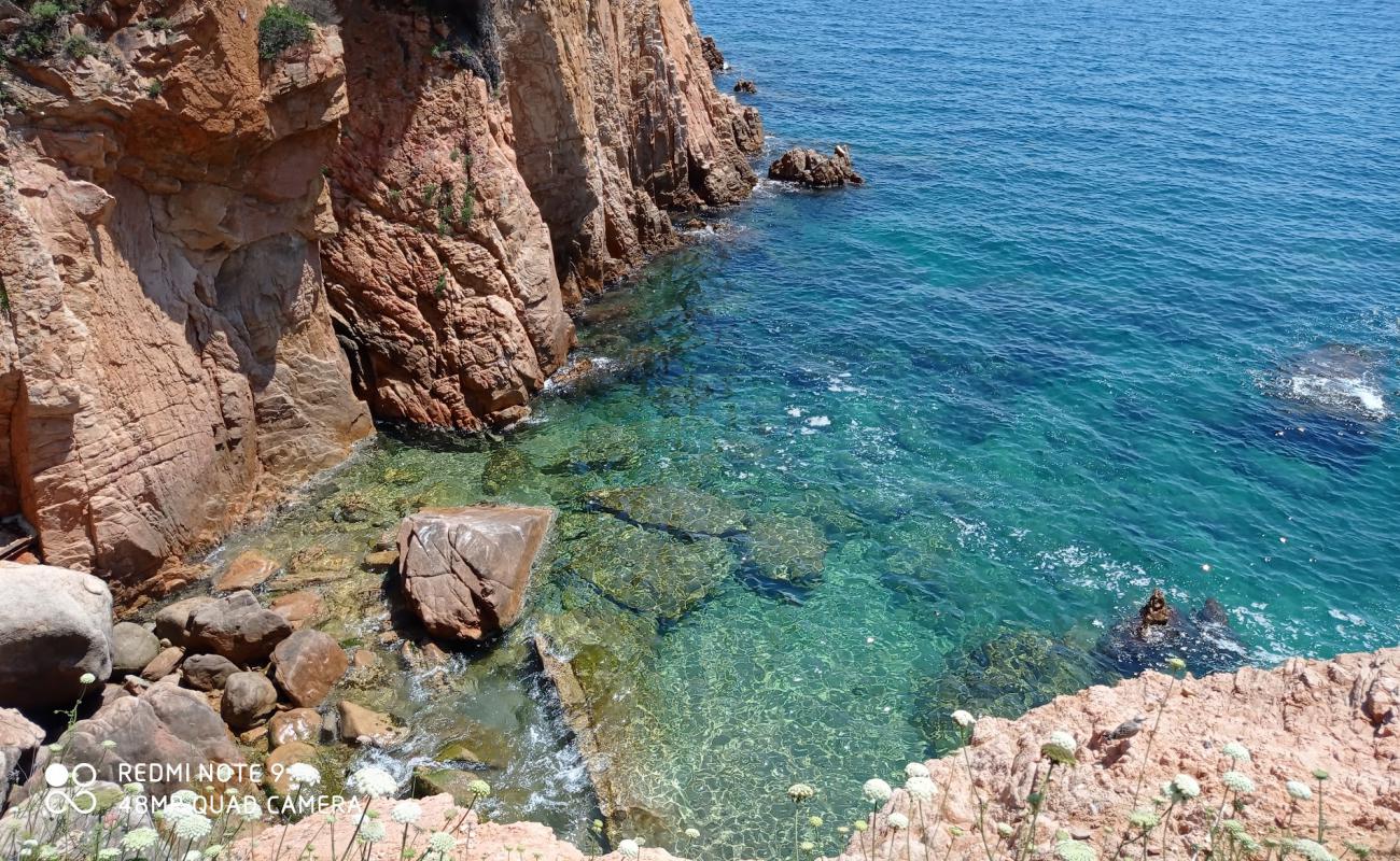 Photo de Cala Jonca avec terrain rocheux de surface