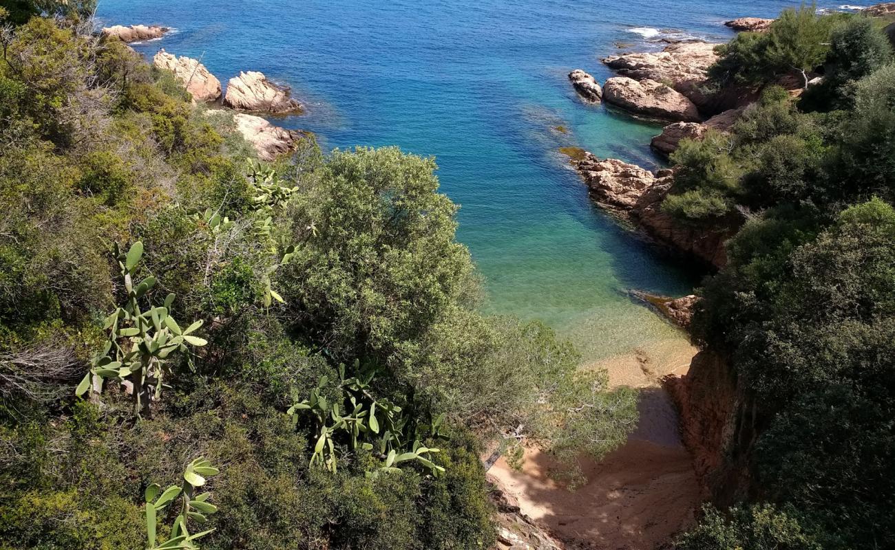 Photo de Cala Maset avec sable beige & pierres de surface