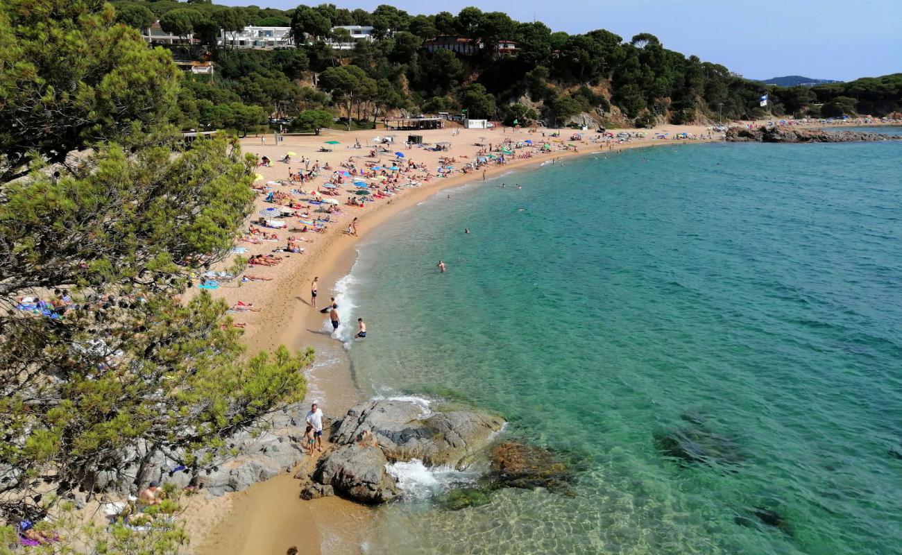 Photo de Plage de Cala Sa Conca avec sable beige de surface
