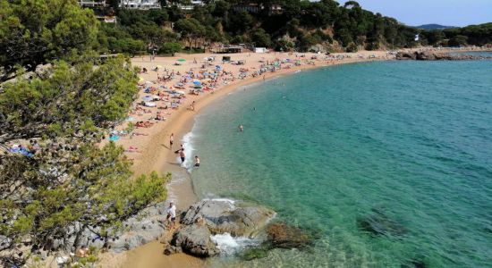 Plage de Cala Sa Conca