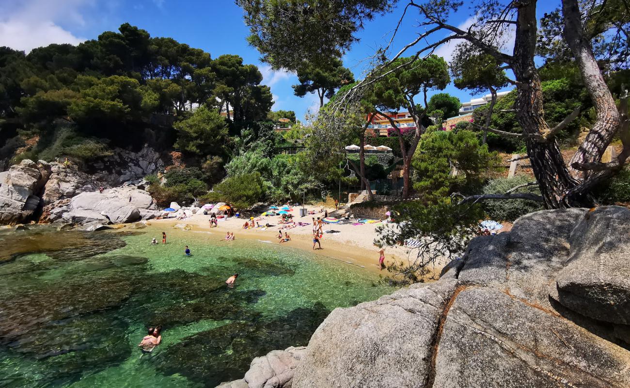 Photo de Cala del Pi avec sable lumineux de surface