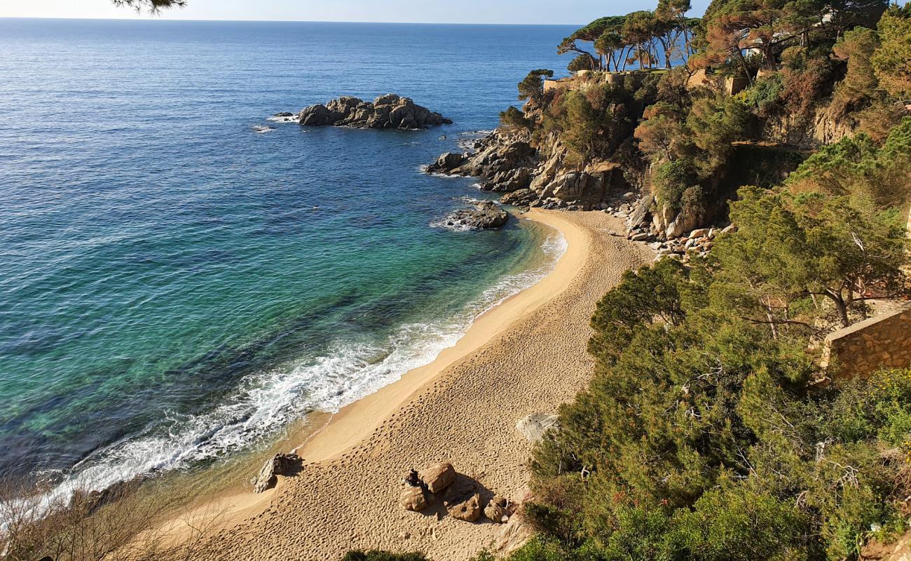 Photo de Cala Belladona avec sable beige de surface