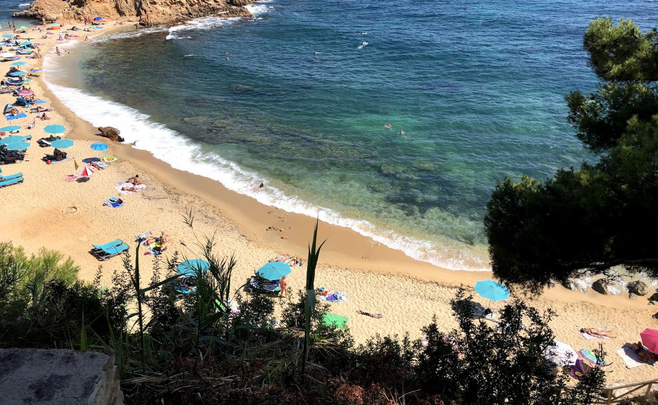 Photo de Cala Cap Roig avec sable beige & pierres de surface