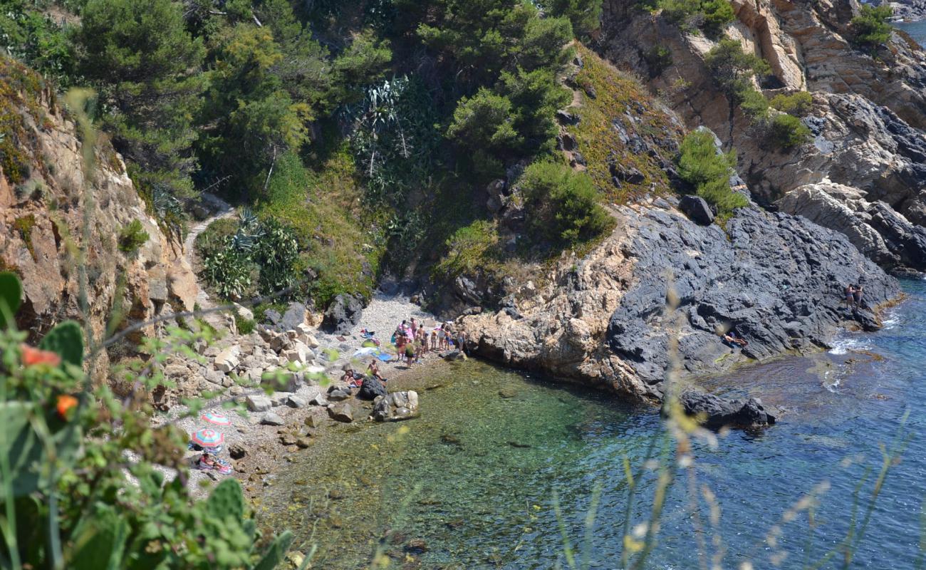 Photo de Platja de les Pots avec galets gris de surface