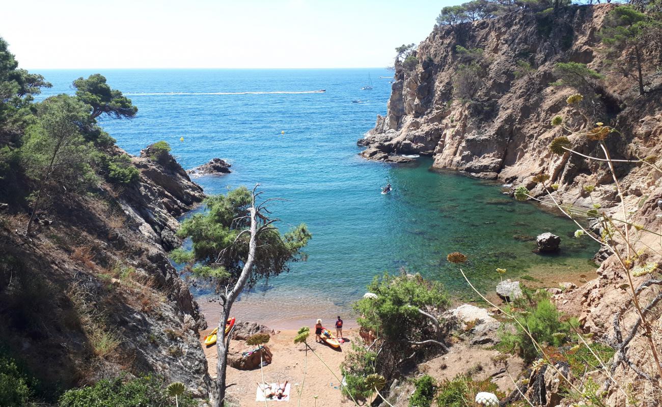 Photo de Cala Corbs avec sable beige & pierres de surface