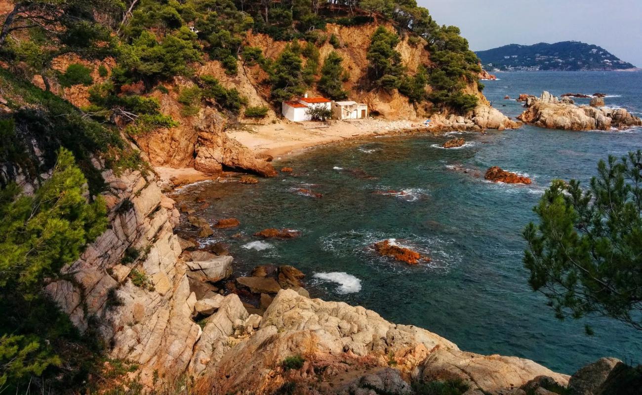 Photo de Cala del Crit avec sable beige & pierres de surface