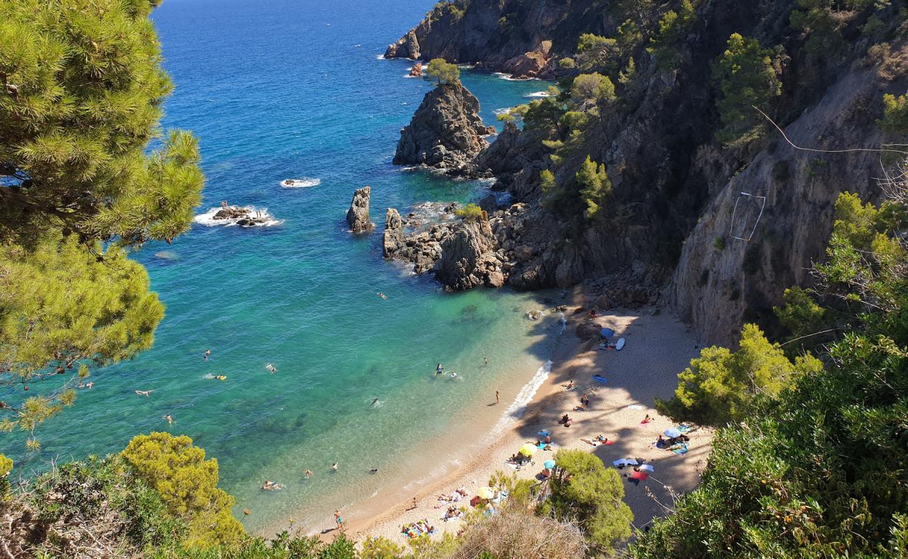 Photo de Plage d'El Golfet avec sable beige de surface