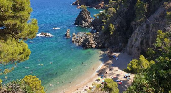 Plage d'El Golfet