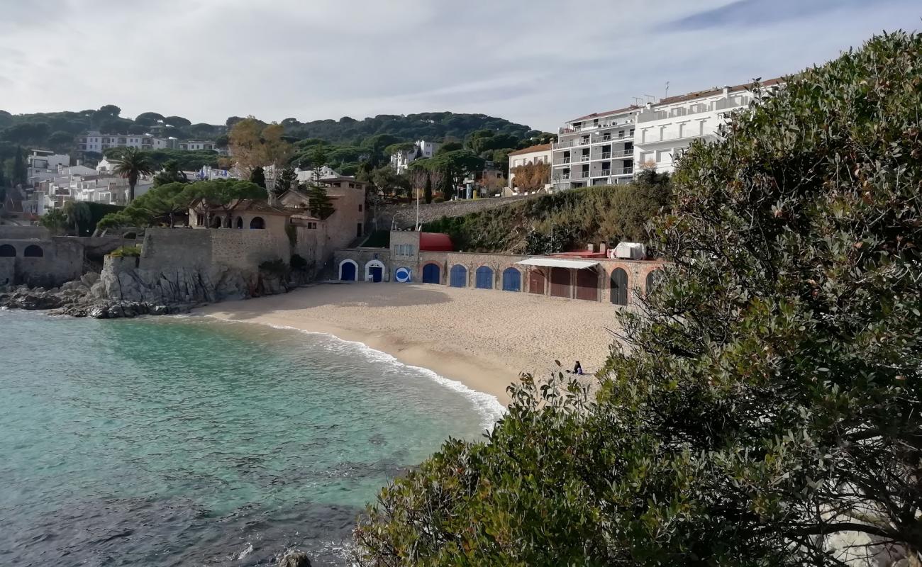 Photo de Platja Port Pelegri avec sable beige de surface