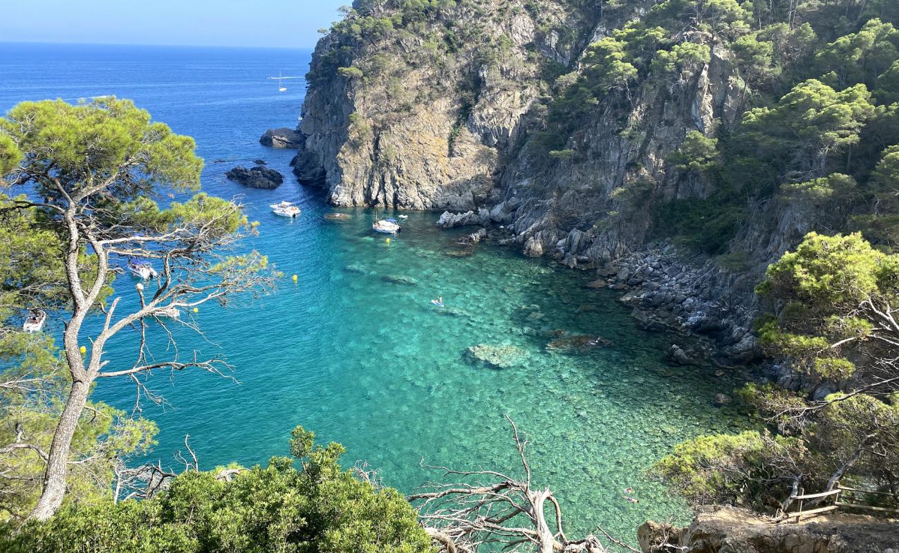 Photo de Cala Pedrosa avec galets beige de surface