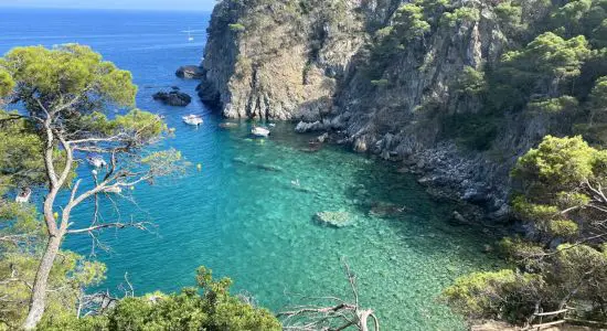 Cala Pedrosa