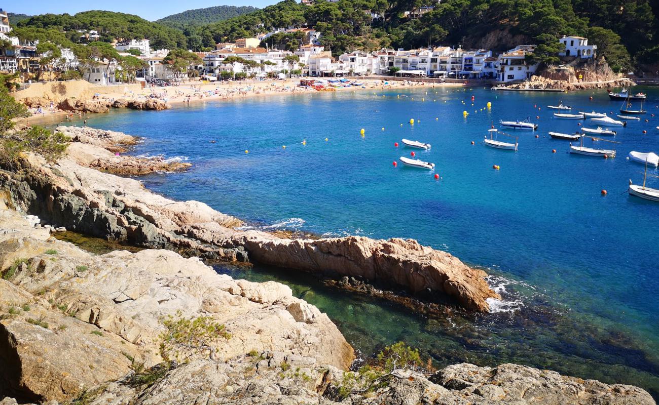 Photo de Plage de Tamariu avec sable beige de surface