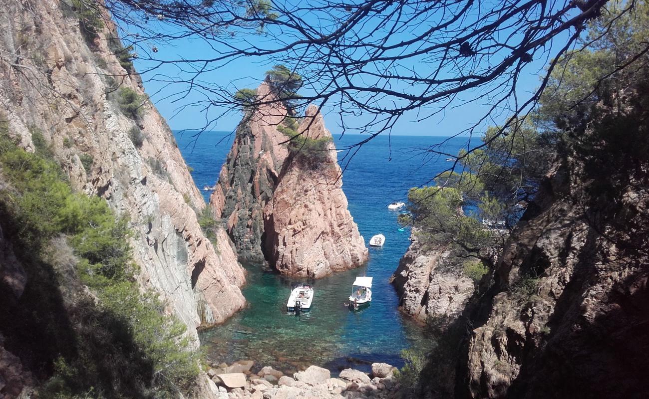 Photo de Cala Marquesa avec sable beige & pierres de surface