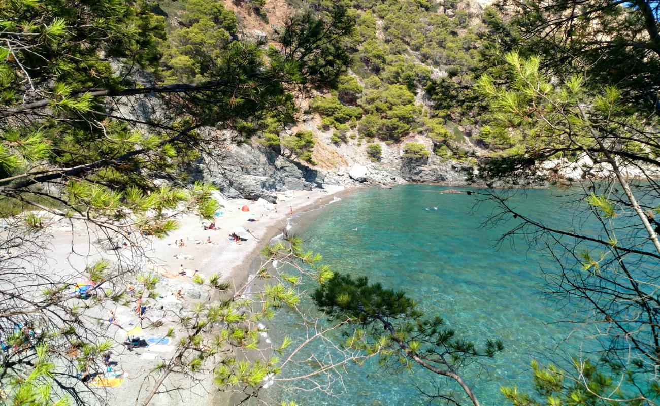 Photo de Fonda Plage avec sable beige de surface