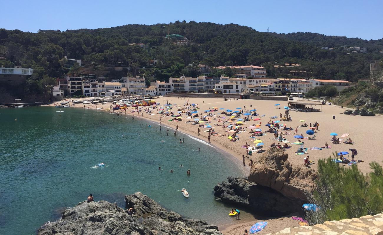 Photo de Platja de Sa Riera avec sable beige de surface