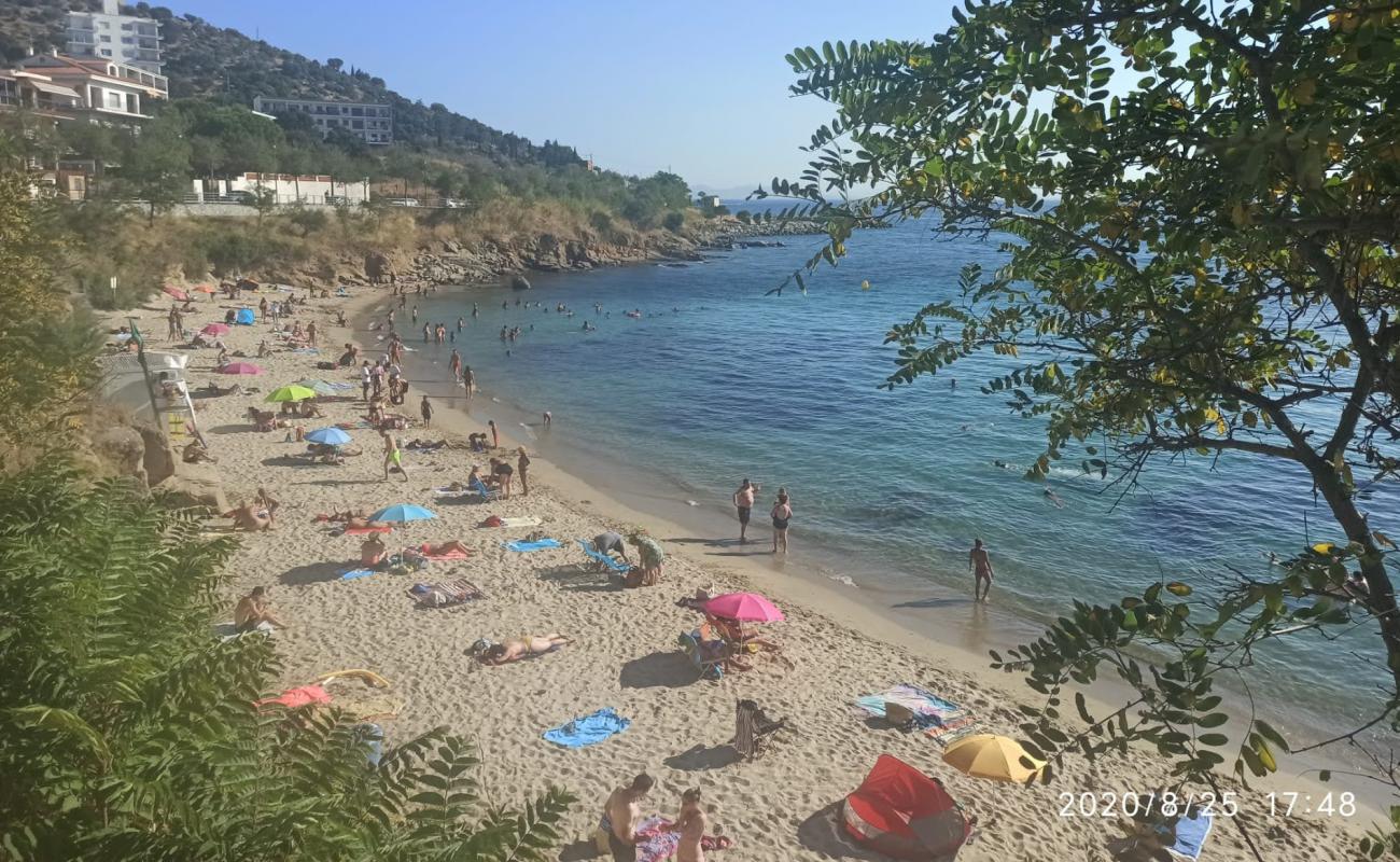 Photo de Platja Dels Palangrers avec sable beige fin de surface