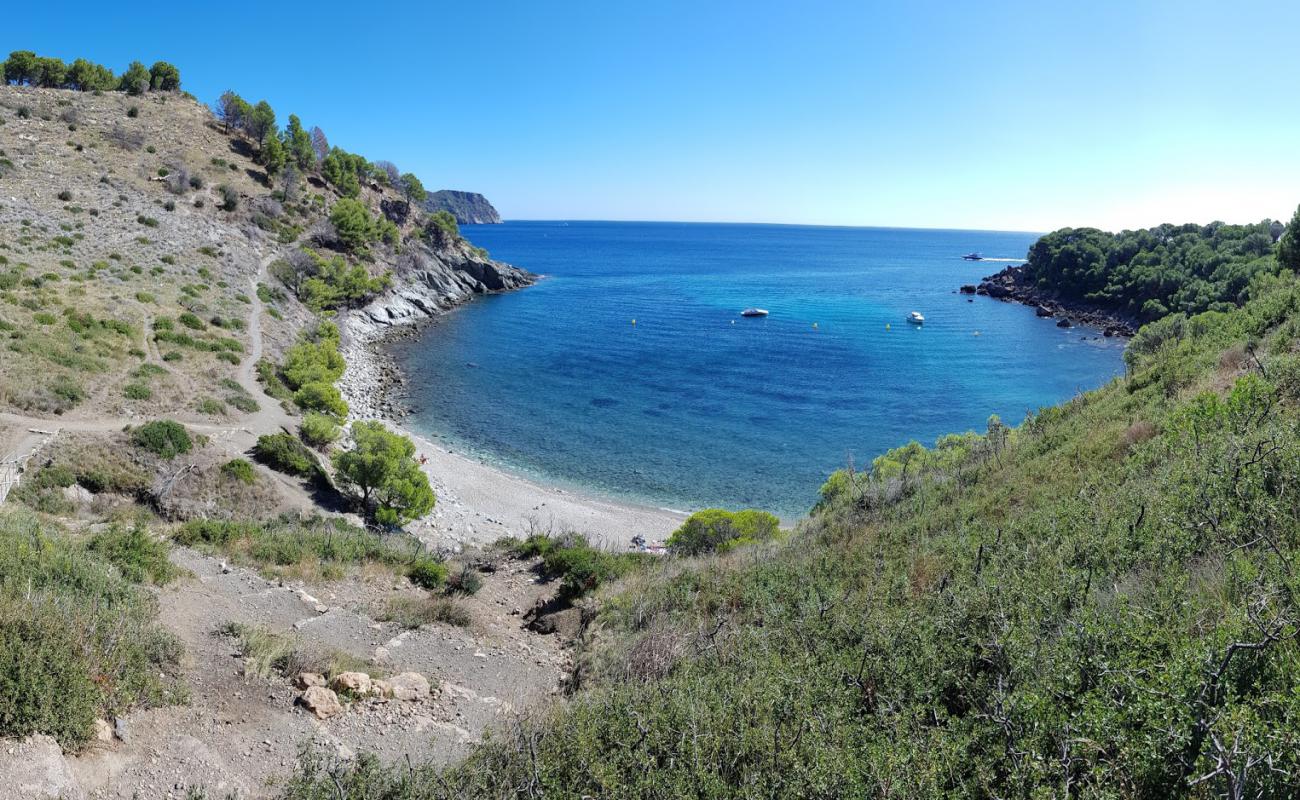 Photo de Platja Cala Murtra avec sable brun & rochers de surface