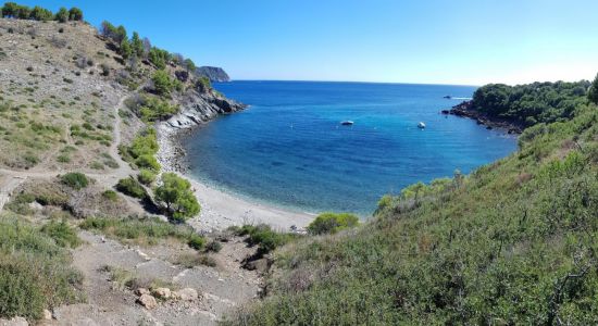 Platja Cala Murtra