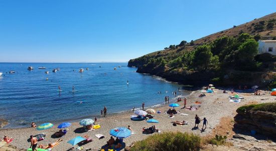 Cala Calitjas