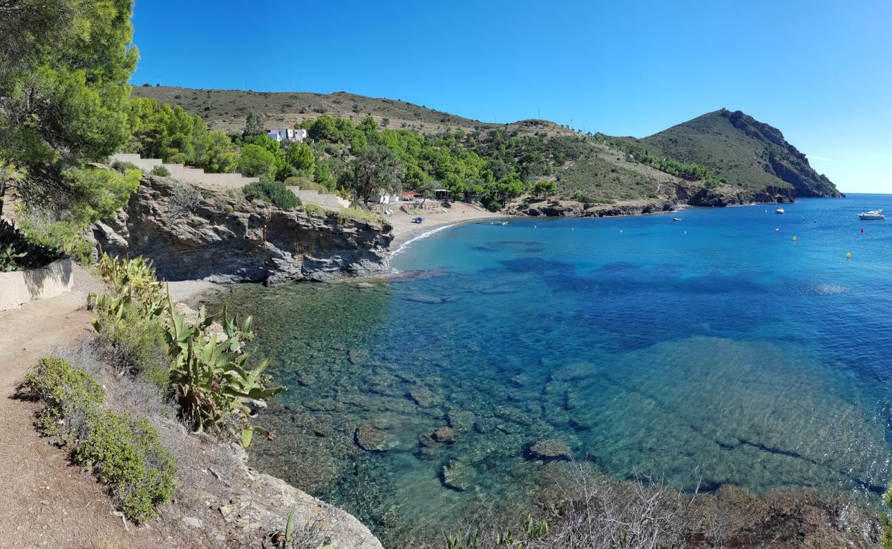 Photo de Cala Pelosa avec sable beige de surface