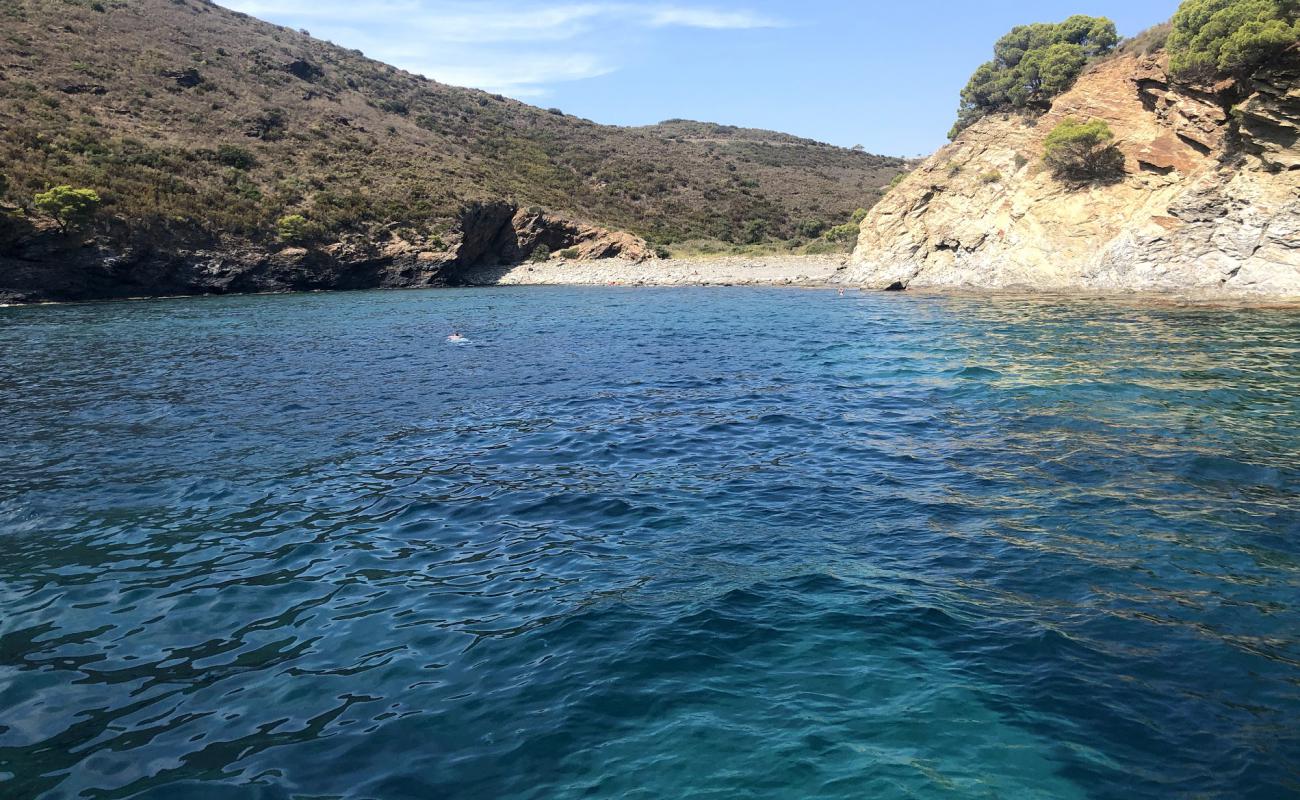 Photo de Cala Canadell avec sable gris & rochers de surface