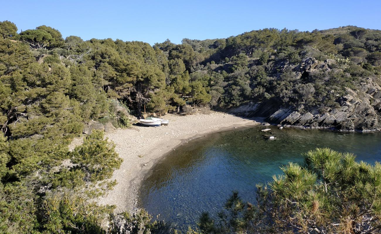 Photo de Platja Guillola avec caillou gris de surface