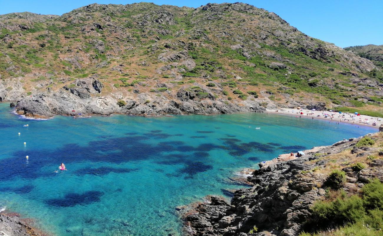 Photo de Cala Tamariua avec caillou fin gris de surface