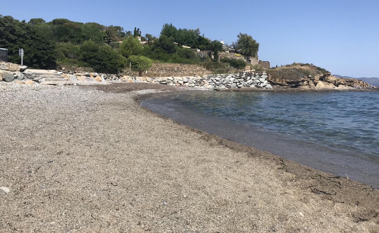 Photo de Platja d'en Taita avec galets gris de surface