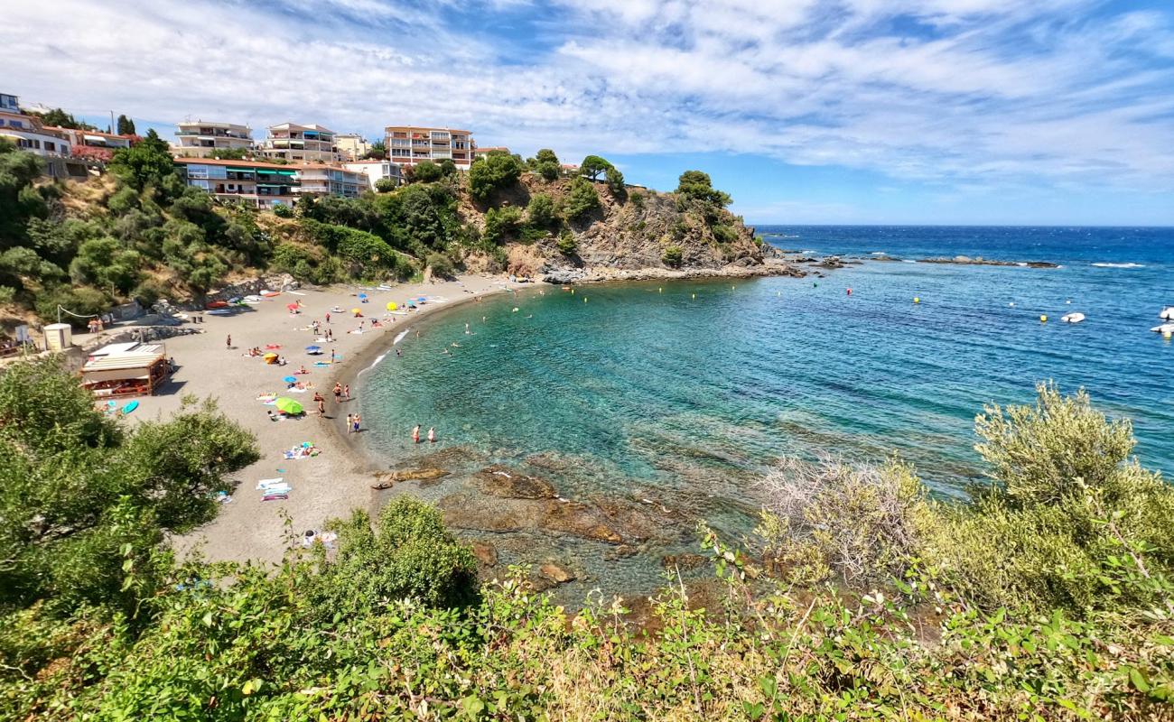 Photo de Platja del Cau del Llop avec petits galets gris de surface