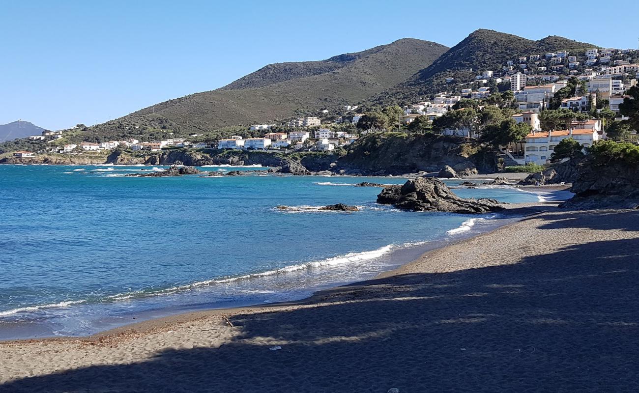 Photo de Platja de les Tonyines avec petits galets gris de surface