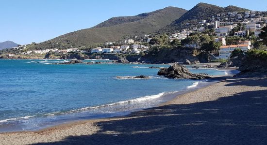 Platja de les Tonyines